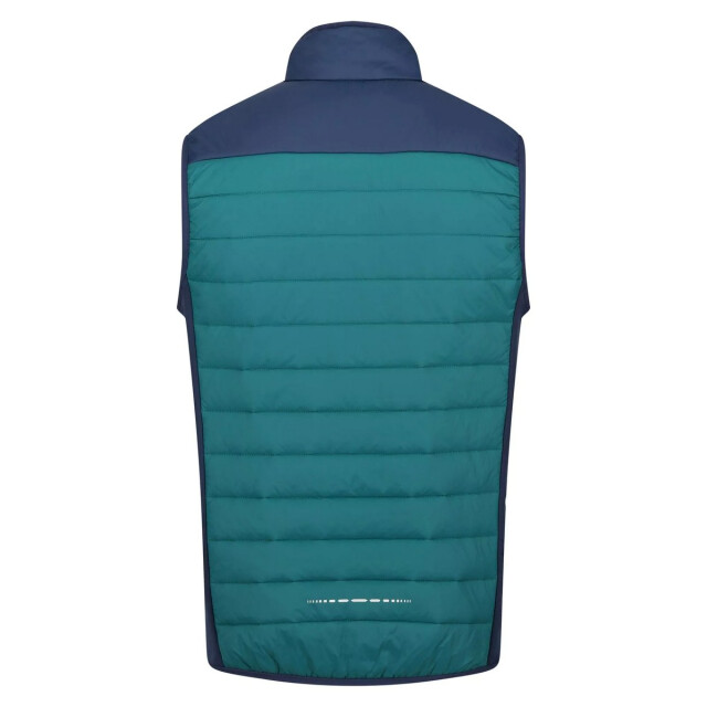 Regatta Heren halton vi lichtgewicht body warmer UTRG8317_pacificgreenadmiralblue large