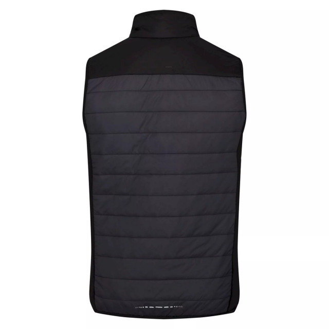 Regatta Heren halton vi lichtgewicht body warmer UTRG8317_darkgreyblack large