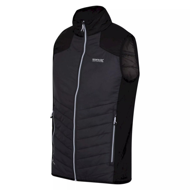 Regatta Heren halton vi lichtgewicht body warmer UTRG8317_darkgreyblack large