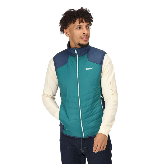 Regatta Heren halton vi lichtgewicht body warmer UTRG8317_pacificgreenadmiralblue large