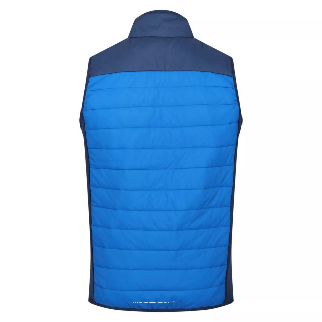 Regatta Heren halton vi lichtgewicht body warmer UTRG8317_skydiverblueadmiralblue large