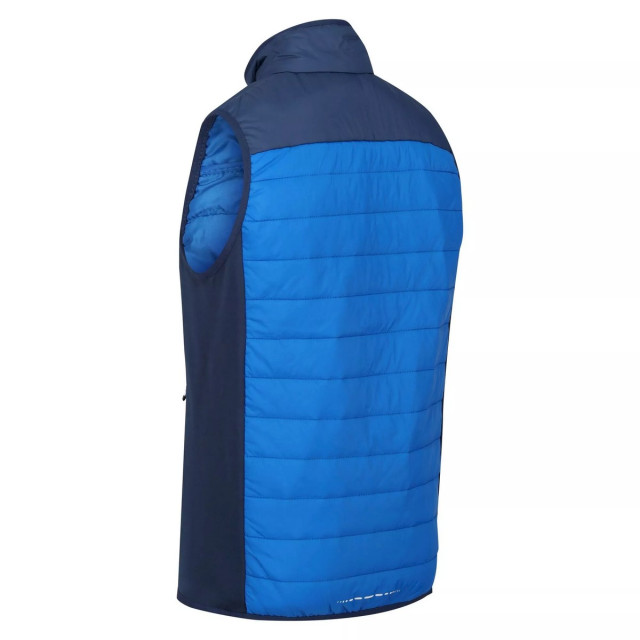 Regatta Heren halton vi lichtgewicht body warmer UTRG8317_skydiverblueadmiralblue large