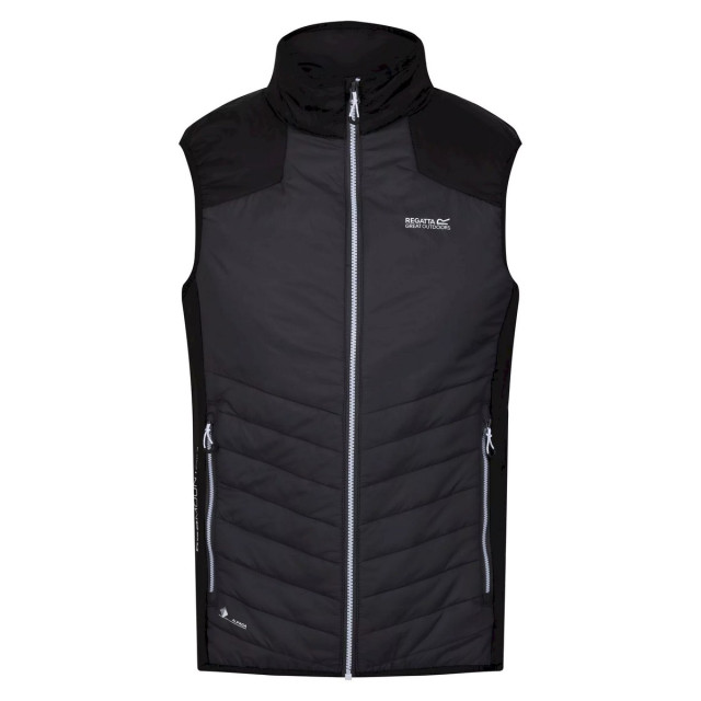 Regatta Heren halton vi lichtgewicht body warmer UTRG8317_darkgreyblack large