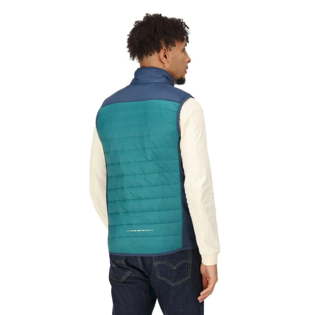 Regatta Heren halton vi lichtgewicht body warmer UTRG8317_pacificgreenadmiralblue large
