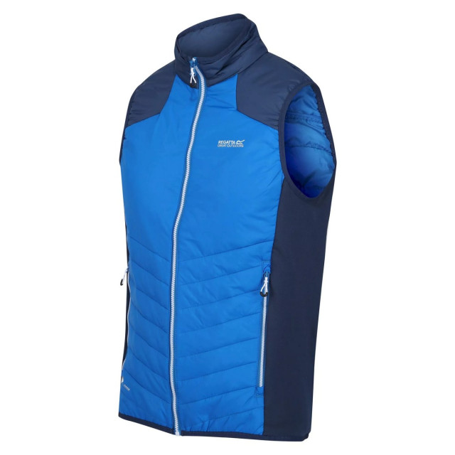 Regatta Heren halton vi lichtgewicht body warmer UTRG8317_skydiverblueadmiralblue large