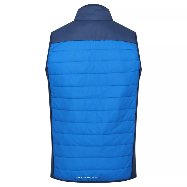 Regatta Heren halton vi lichtgewicht body warmer UTRG8317_skydiverblueadmiralblue large