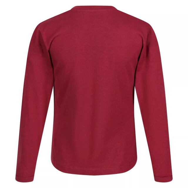 Regatta Kinderen/kinderen wenbie iii sterren t-shirt met lange mouwen UTRG8055_darkpimento large
