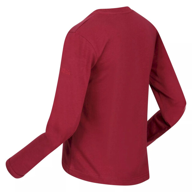 Regatta Kinderen/kinderen wenbie iii sterren t-shirt met lange mouwen UTRG8055_darkpimento large