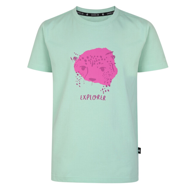 Dare2b Trailblazer luipaard t-shirt voor kinderen/kinderen UTRG8591_grayedjade large