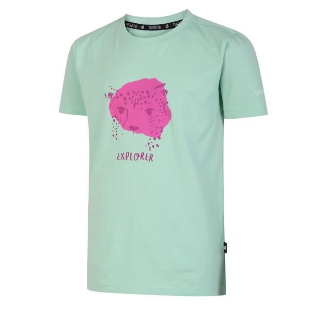 Dare2b Trailblazer luipaard t-shirt voor kinderen/kinderen UTRG8591_grayedjade large