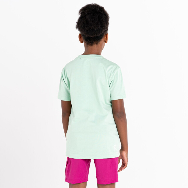 Dare2b Trailblazer luipaard t-shirt voor kinderen/kinderen UTRG8591_grayedjade large