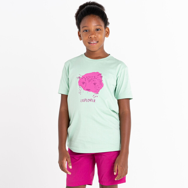 Dare2b Trailblazer luipaard t-shirt voor kinderen/kinderen UTRG8591_grayedjade large