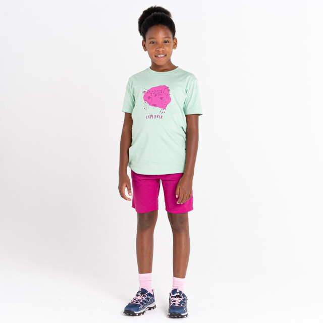 Dare2b Trailblazer luipaard t-shirt voor kinderen/kinderen UTRG8591_grayedjade large