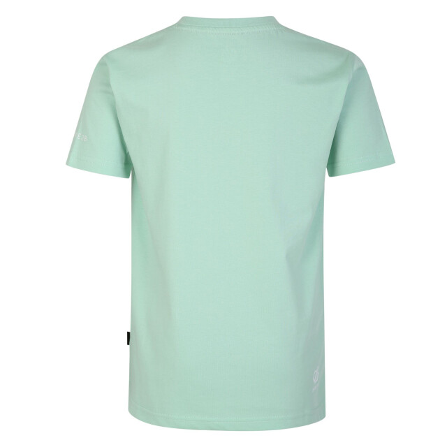 Dare2b Trailblazer luipaard t-shirt voor kinderen/kinderen UTRG8591_grayedjade large