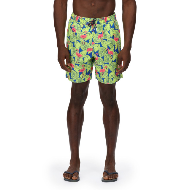 Regatta Heren hamza flamingo zwemshorts UTRG7537_brightkiwi large