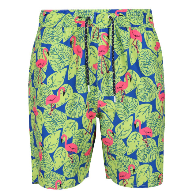 Regatta Heren hamza flamingo zwemshorts UTRG7537_brightkiwi large