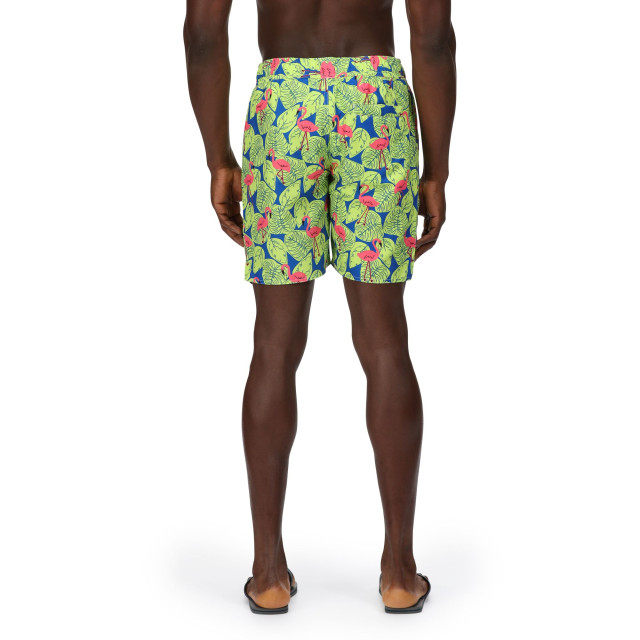 Regatta Heren hamza flamingo zwemshorts UTRG7537_brightkiwi large