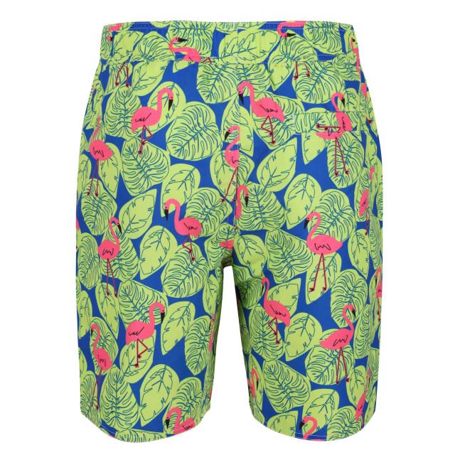 Regatta Heren hamza flamingo zwemshorts UTRG7537_brightkiwi large