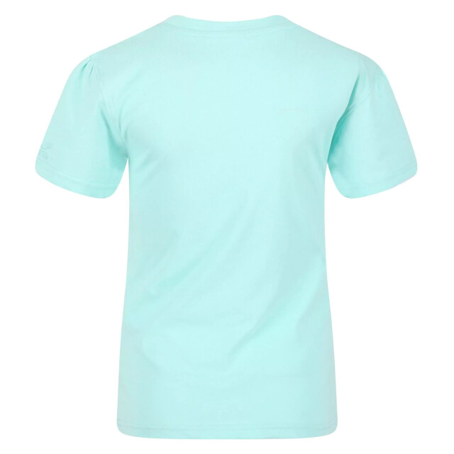 Regatta Kinderen/kinderen bosley v grafisch print t-shirt UTRG7886_arubablue large