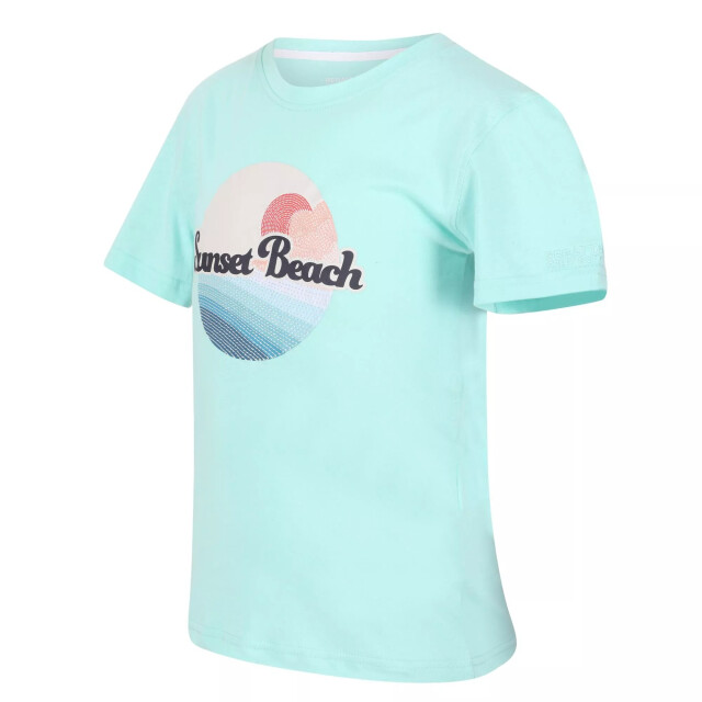 Regatta Kinderen/kinderen bosley v grafisch print t-shirt UTRG7886_arubablue large