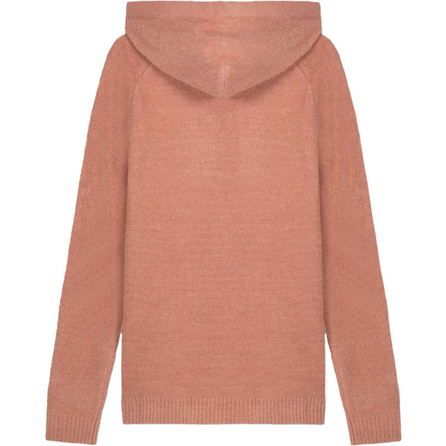 Law of the sea Lir hoody pull pale mauve 10-22-03-L-PALE large