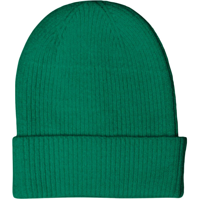 Only Onlastrid beanie cc lush meadow 15266392-239295 large