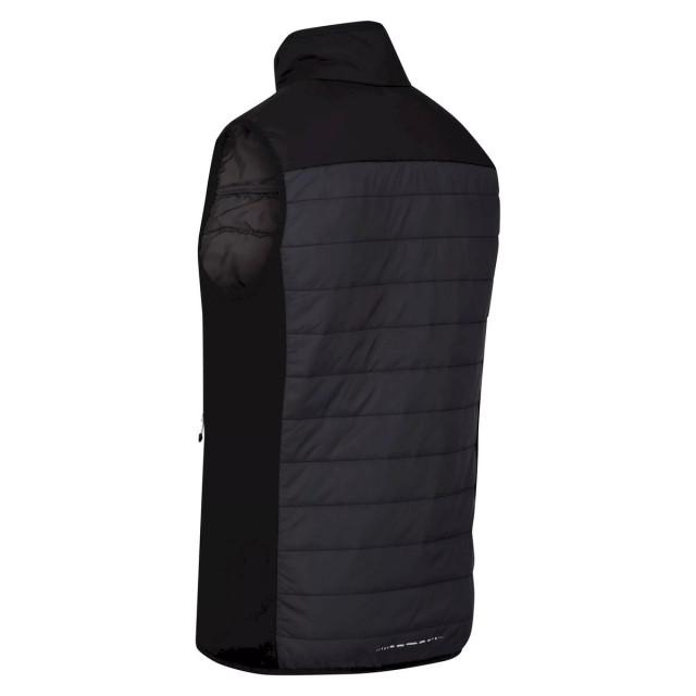 Regatta Heren halton vi lichtgewicht body warmer UTRG8317_darkgreyblack large