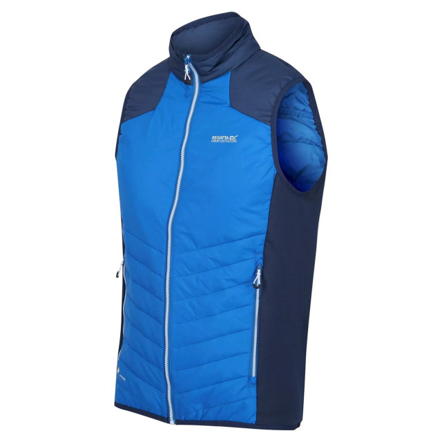 Regatta Heren halton vi lichtgewicht body warmer UTRG8317_skydiverblueadmiralblue large