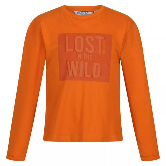 Regatta Kinderen/kinderen wenbie iii lost in the wild t-shirt UTRG8068_autumnmaple large