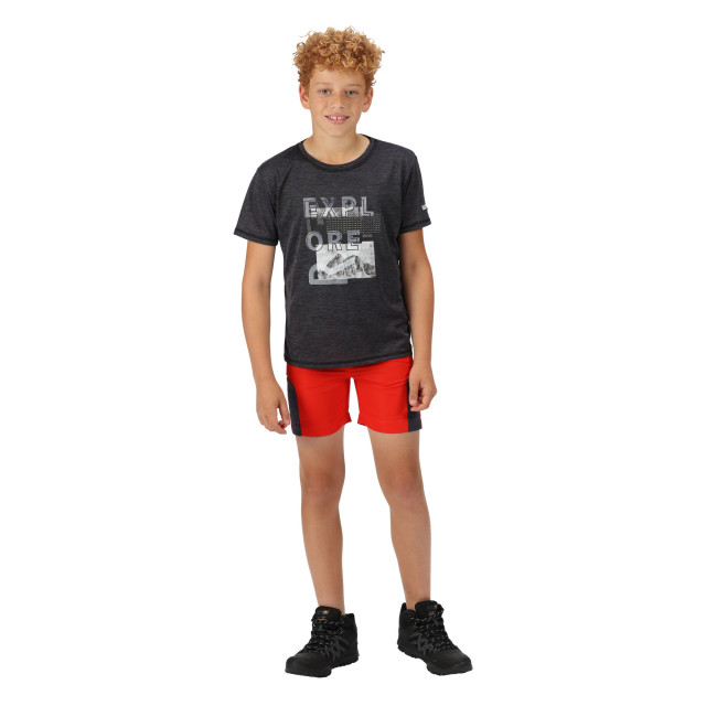 Regatta Kinderen/kinderen alvarado vi explorer t-shirt UTRG7539_indiagreymarl large