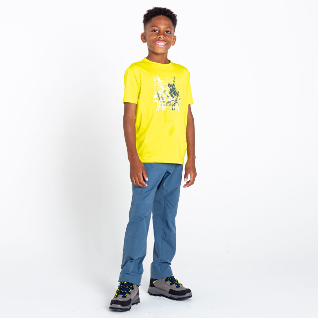 Dare2b Kinderen/kinderen t-shirt met recht grafische print UTRG7505_neonspring large