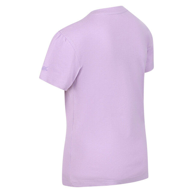 Regatta Kinderen/kinderen bosley v grafisch print t-shirt UTRG7336_pastellilac large