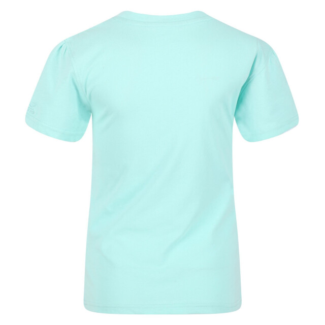 Regatta Kinderen/kinderen bosley v sunset t-shirt UTRG7427_arubablue large