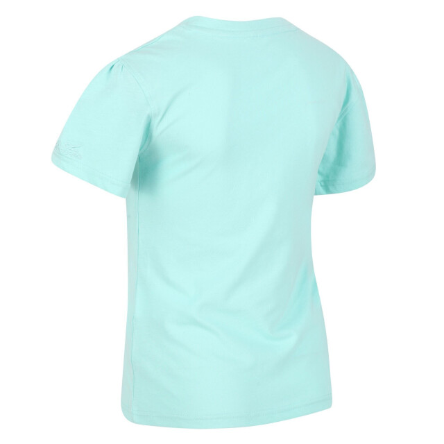 Regatta Kinderen/kinderen bosley v sunset t-shirt UTRG7427_arubablue large
