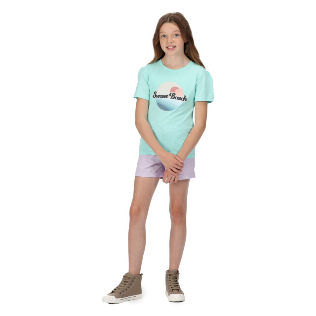 Regatta Kinderen/kinderen bosley v sunset t-shirt UTRG7427_arubablue large