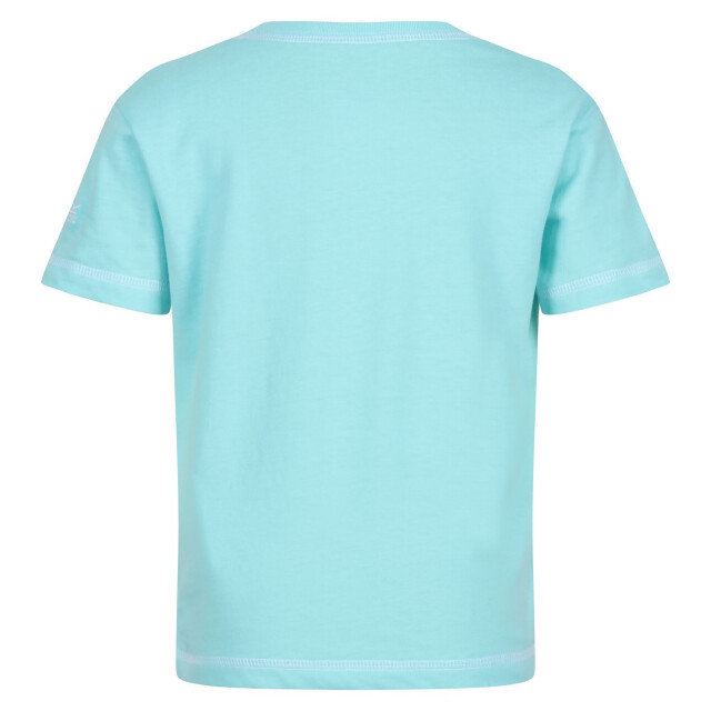 Regatta Kinder/kids peppa pig bedrukt t-shirt UTRG7777_arubablue large