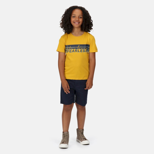 Regatta Kinderen/kinderen bosley v stripe t-shirt UTRG7399_yellowgold large