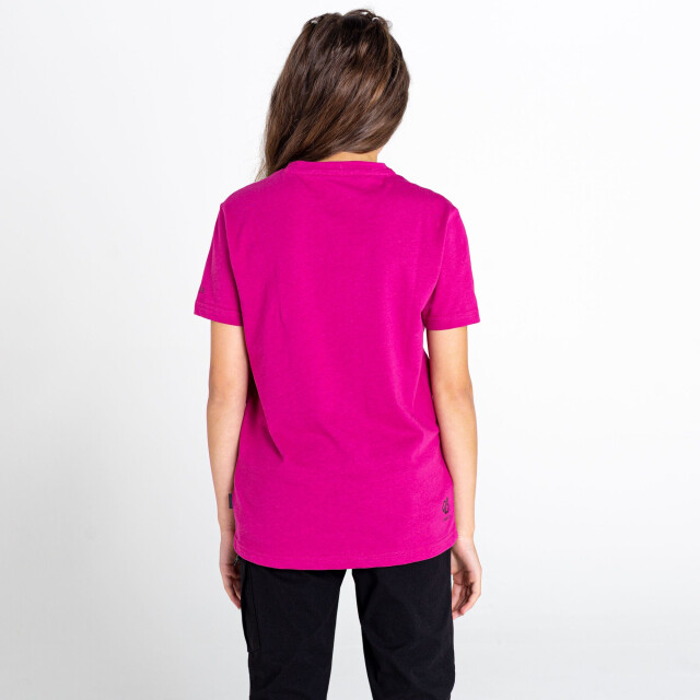 Dare2b Kinderen/kinderen go beyond grafisch t-shirt UTRG5023_fuchsia large