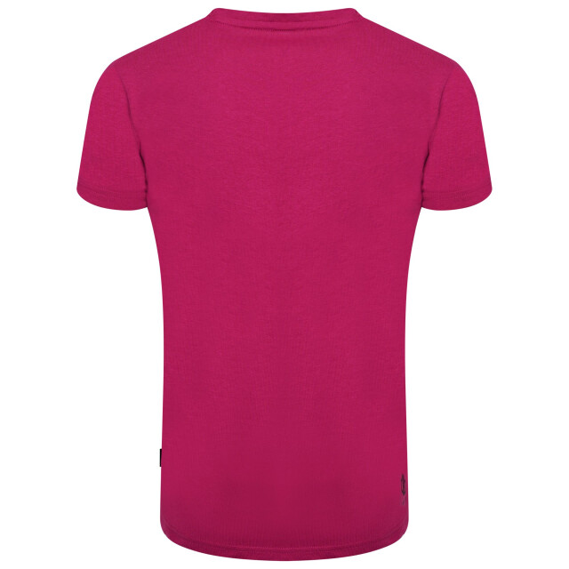 Dare2b Kinderen/kinderen go beyond grafisch t-shirt UTRG5023_fuchsia large