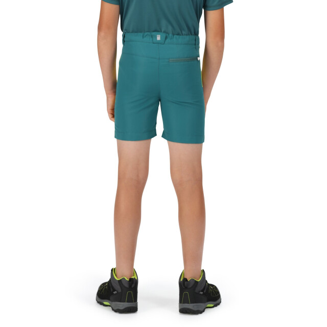 Regatta Sorcer ii bergshorts voor kinderen/kinderen UTRG7216_pacificgreenbrightkiwi large