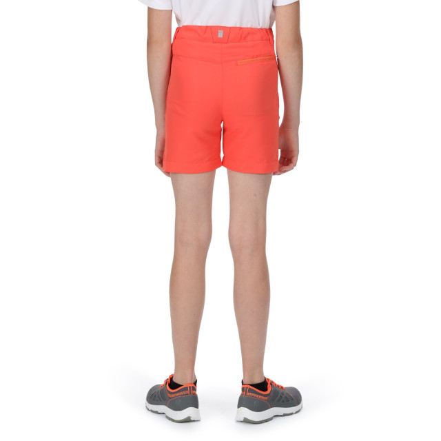 Regatta Sorcer ii bergshorts voor kinderen/kinderen UTRG7216_neonpeachfusioncoral large