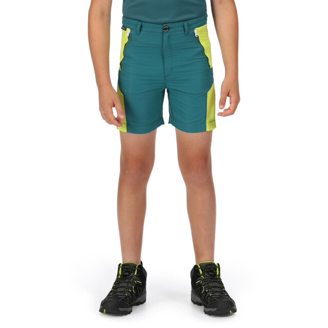 Regatta Sorcer ii bergshorts voor kinderen/kinderen UTRG7216_pacificgreenbrightkiwi large