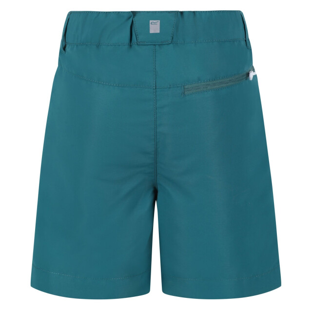 Regatta Sorcer ii bergshorts voor kinderen/kinderen UTRG7216_pacificgreenbrightkiwi large
