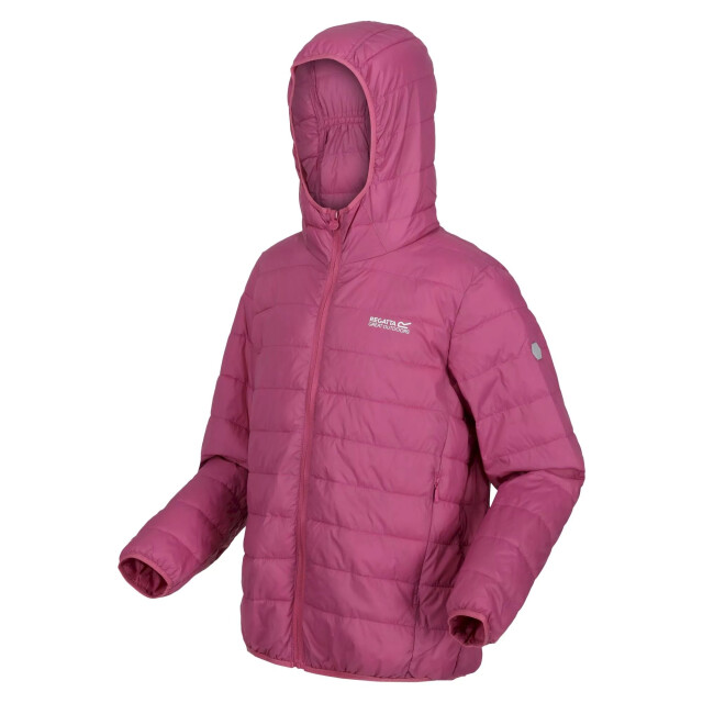 Regatta Childrens/kids hillpack hooded jacket UTRG8443_violet large