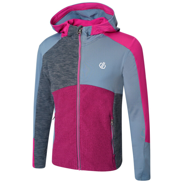 Dare2b Kinder/kids hero core stretch gerecycleerde hoodie UTRG7068_oriongreyfuchsia large