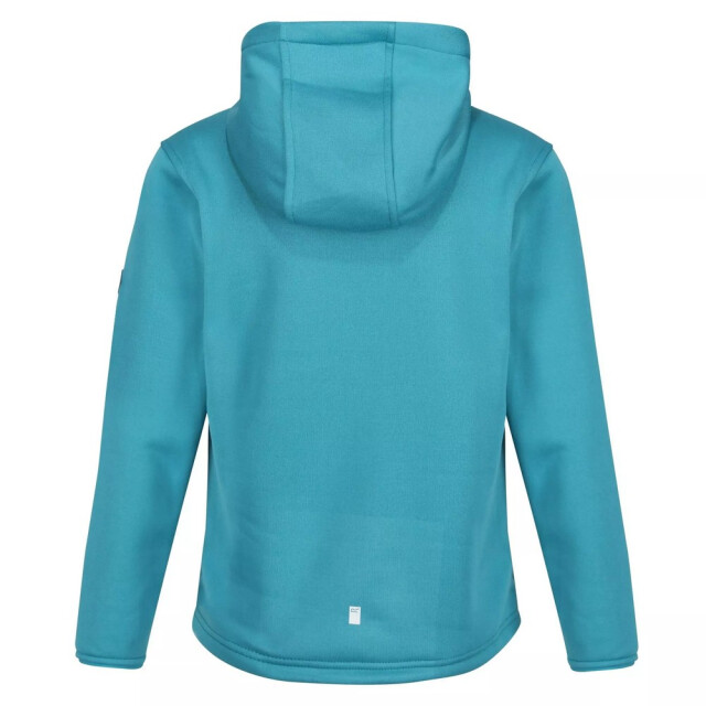 Regatta Kinderen/kinderen highton abstract extol stretch hoodie UTRG7990_pagodablue large
