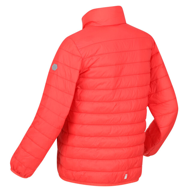 Regatta Kinder/kids hillpack gewatteerd geïsoleerd jasje UTRG6235_neonpeach large