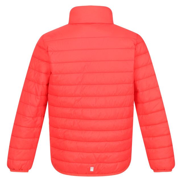 Regatta Kinder/kids hillpack gewatteerd geïsoleerd jasje UTRG6235_neonpeach large