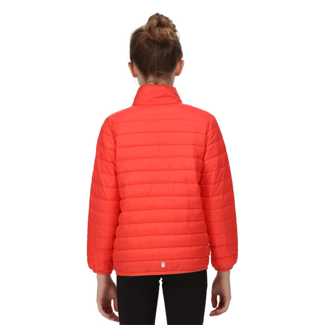 Regatta Kinder/kids hillpack gewatteerd geïsoleerd jasje UTRG6235_neonpeach large