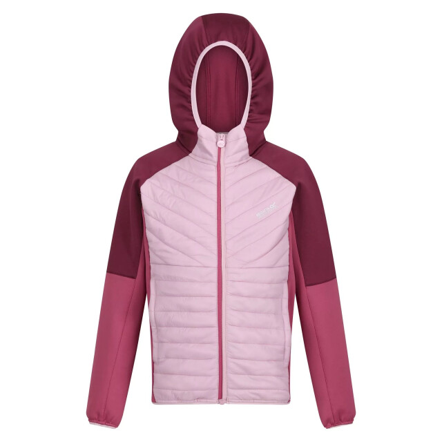 Regatta Kinder/kinder kielder hybride vi jas UTRG8178_fragrantlilacvioletamaranthhaze large